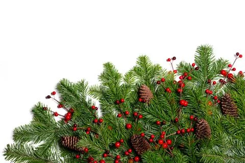 Fir tree branch frame on white Stock Photos