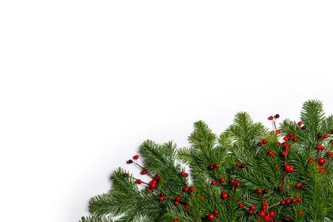 Fir tree branch frame on white Stock Photos