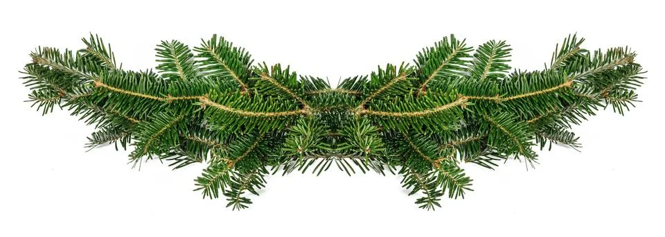 Fir tree branch frame on white Stock Photos