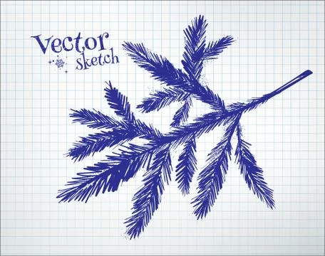 Fir tree branch Stock Illustration