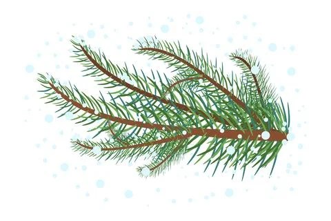 Fir tree branch isolated on white background. Spruce twig with snow. Stock Illustration