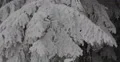 Fir Tree Branch Twig Loaded Snow Capped Covered Ice Flowers Cold Weather Winter 4k or 4k+ Resolution