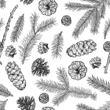 Fir tree branches and cones seamless pattern isolated on white Illustrazione stock