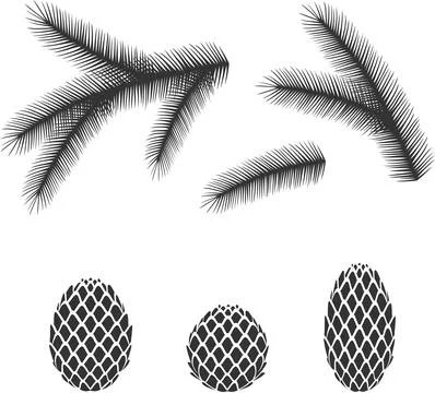 Fir tree branches and cones. Stock Illustration