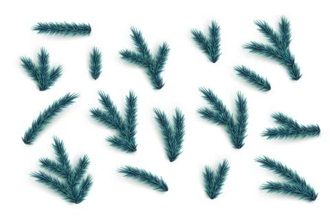 Fir tree branches and elements set. Vector blue Christmas tree parts collection. Stock Illustration