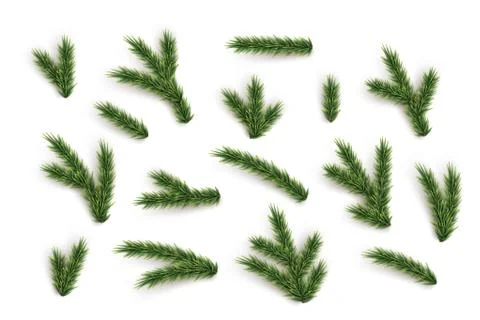 Fir tree branches and elements set. Vector green Christmas tree parts collection Stock Illustration