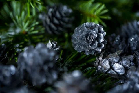 Fir tree branches and silver painted pine cones on a wooden snow background.  Stock Photos