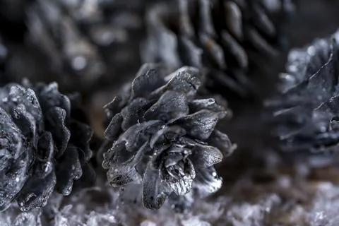 Fir tree branches and silver painted pine cones on a wooden snow background.  Stock Photos