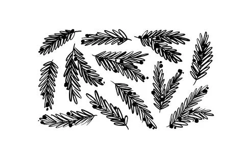 Fir tree branches with balls isolated on white. Illustrazione stock