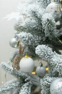 Fir tree branches covered with artificial snow, white and silver bulbs, baubles Stock Photos