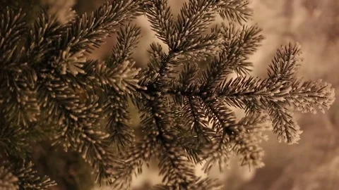 Fir tree branches covered with snow. 스톡 동영상 82442564