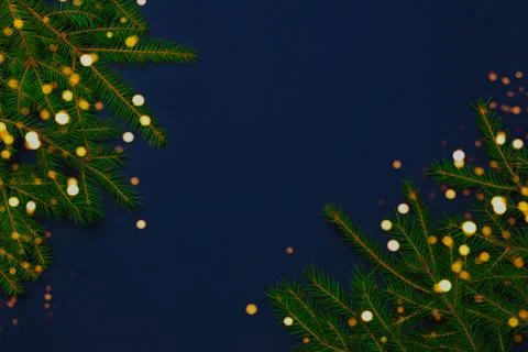 Fir tree branches on dark blue background Stock Photos