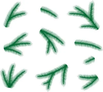 Fir tree branches Illustrazione stock