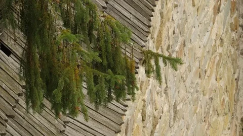 Fir-Tree Branches Over Old Stony Wall Monastery in Forest Ancient City Wall 動画素材 71633709