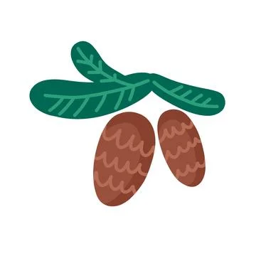 Fir-tree branches with pine cones. Symbol of Christmas. Vector hand drawn i.. Stock Illustration