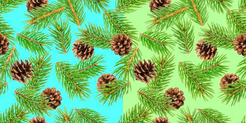 Fir tree branches seamless pattern, pine branch, Christmas conifer background Stock Photos