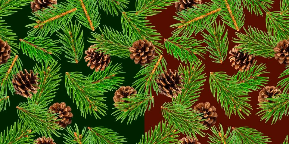 Fir tree branches seamless pattern, pine branch, Christmas conifer background Stock Photos