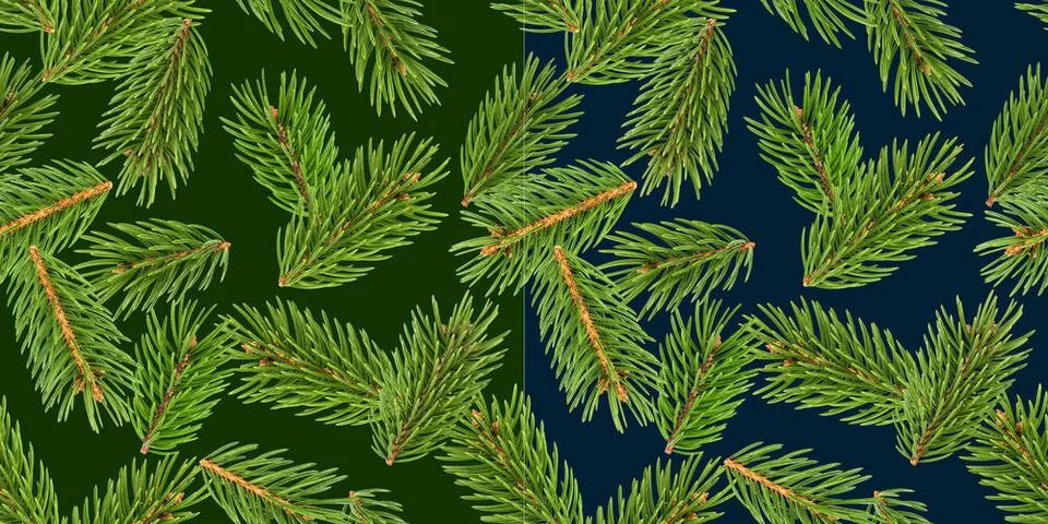 Fir tree branches seamless pattern, pine branch, Christmas conifer isolate... Foto stock