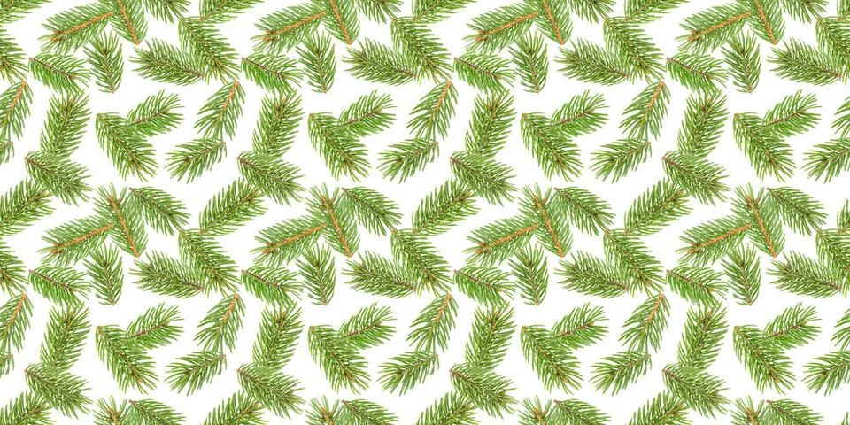 Fir tree branches seamless pattern, pine branch, Christmas conifer isolate... Stock Photos