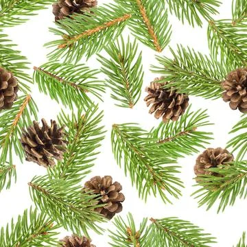 Fir tree branches seamless pattern, pine branch, Christmas conifer isolate... Foto stock