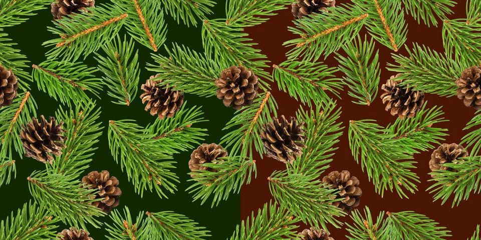 Fir tree branches seamless pattern, pine branch, Christmas conifer backgro... Foto stock
