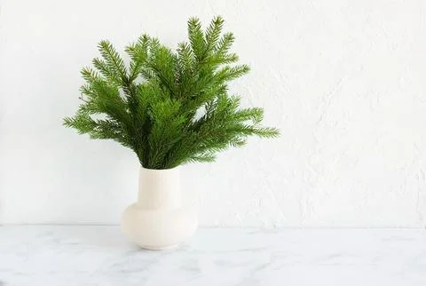 Fir tree branches in a vase on marble table Stock Photos