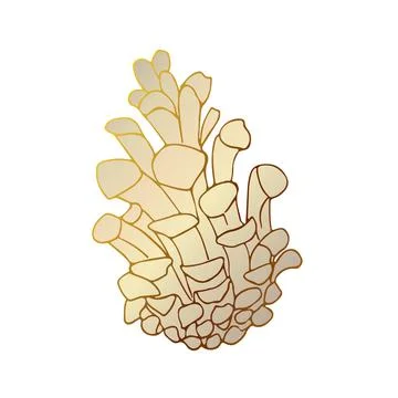 The fir-tree cone is golden. Vector illustration isolated on a white backgrou Stock Illustration