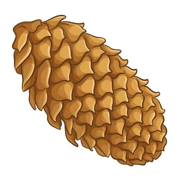 Fir tree Cones Colored Detailed Illustration Stockillustratie
