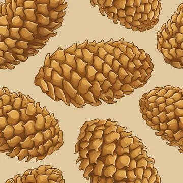 Fir tree cones pattern Illustrazione stock
