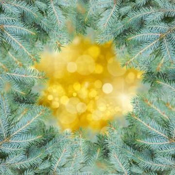 Fir tree frame with golden background Stock Photos