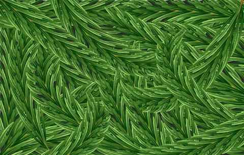 Fir tree green branches background Stock Illustration