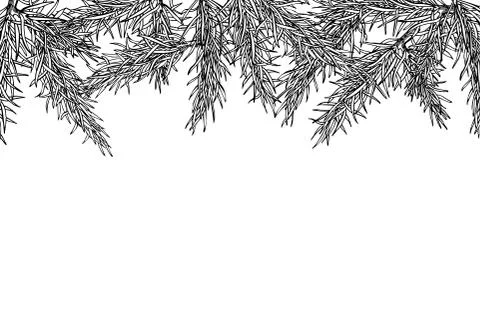 Fir tree hand drawn vector frame for winter and holiday decor. B Stock Illustration