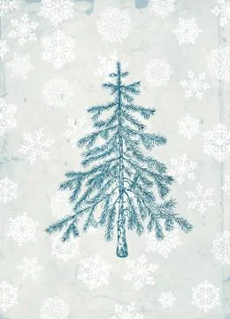 Fir tree Stock Illustration