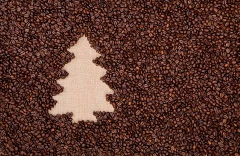 Fir tree made of coffee beans Stock Photos