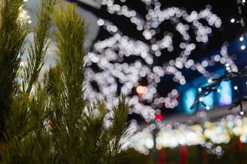 Fir tree needles close up with bokeh background and copy space Foto stock