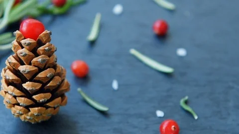 Fir-tree with pine cone, cranberry, rosemary Stock Footage 70459555