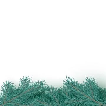 Fir tree realistic border background. Christmas tree brancher texture. Winter Stock Illustration