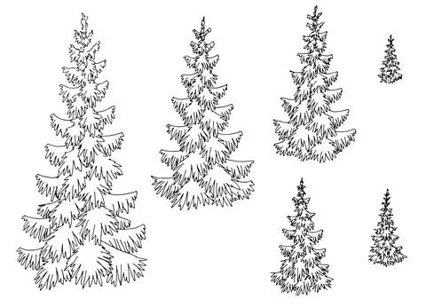 Fir tree set spruce graphic black white isolated sketch illustration vector Stock Illustration