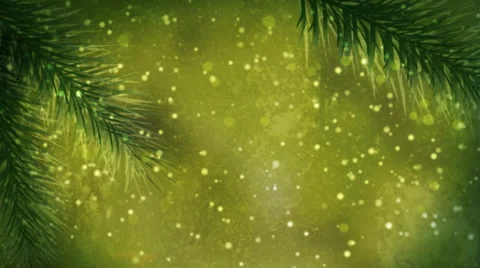 Fir Tree In Snow Stock Footage 50783221