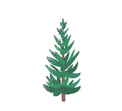 Fir tree with snow texture. Pine xmas vector illustration isolated on white Stock Illustration