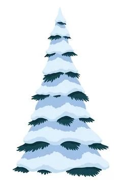 Fir tree with snow. Winter snow-covered spruce. Green fluffy pine isolated on Stock Illustration