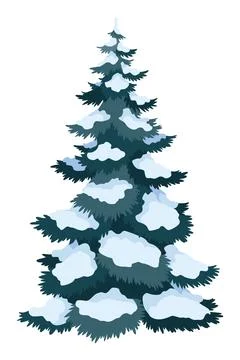Fir tree with snow. Winter snow-covered spruce. Green fluffy pine isolated on Stock Illustration
