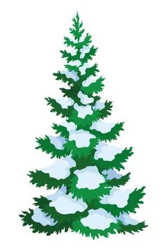 Fir tree with snow. Winter snow-covered spruce. Green fluffy pine isolated on Stock Illustration