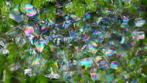 Fir tree soap bubbles background hd footage Video stock 107911483