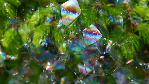 Fir tree soap bubbles background hd footage Stock Footage 107911510