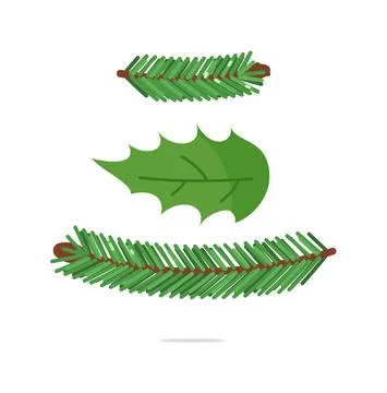 Fir tree twigs and mistletoe leaf decoration set Stock Illustration