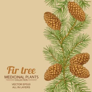 Fir tree vector pattern on color background Stock Illustration
