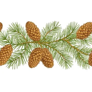 Fir tree vector pattern isolated Stock Illustration