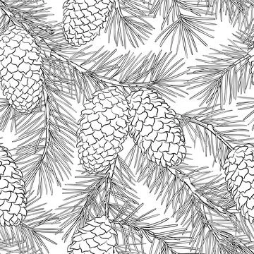 Fir tree vector pattern on white background Stock Illustration