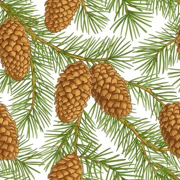 Fir tree vector pattern on white background Stock Illustration
